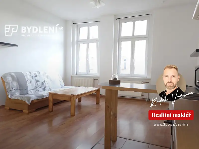 Pronájem bytu 1+1 48 m², Teplice – náhled fotky 1
