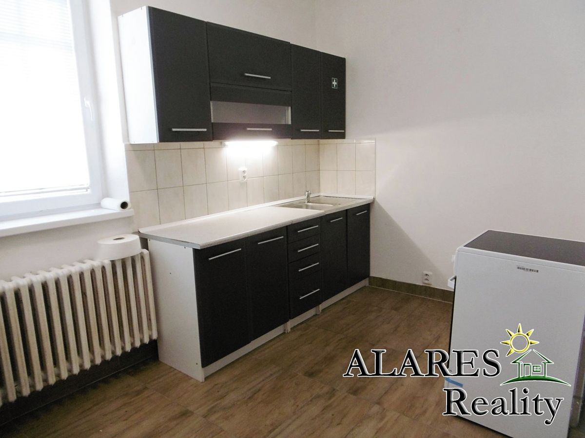 Pronájem bytu 1+1 50 m²