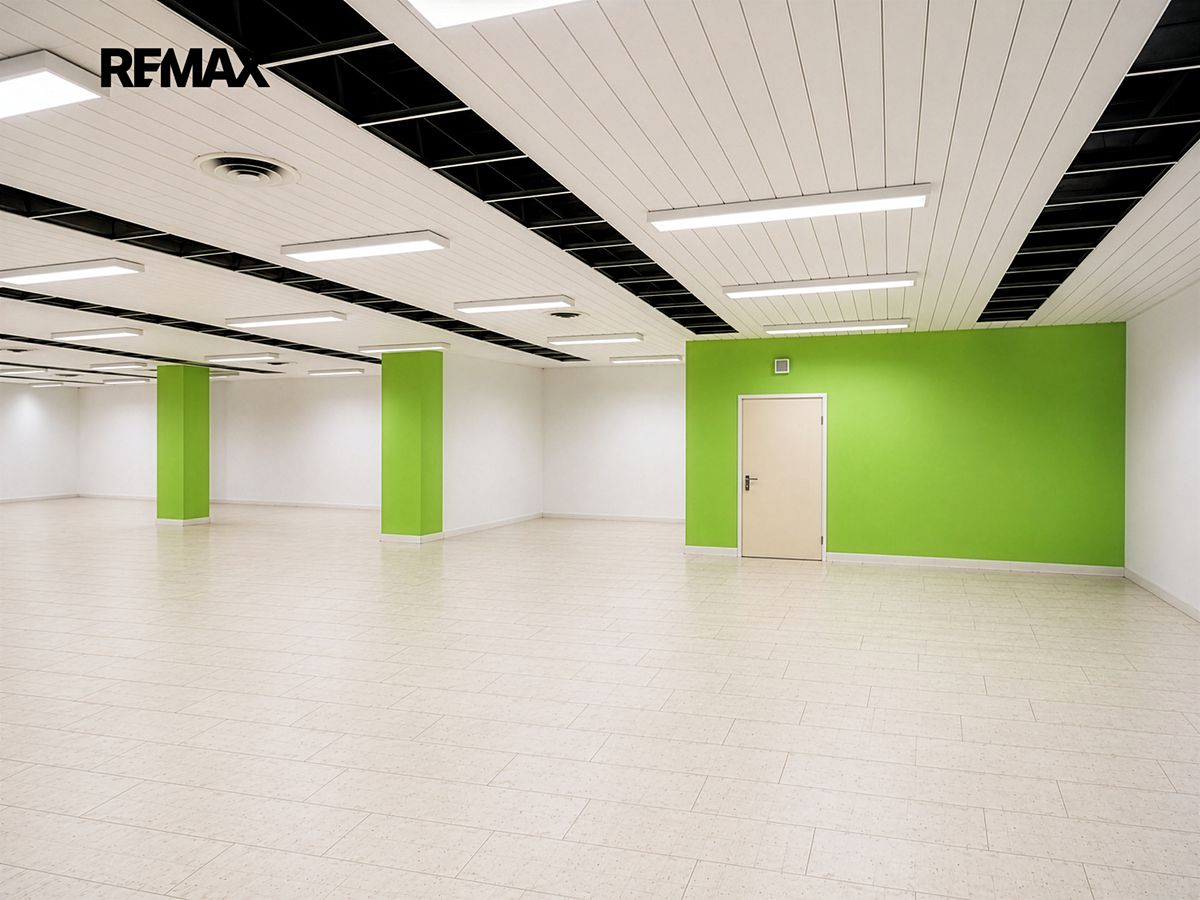 Pronájem obchodního prostoru 865 m²