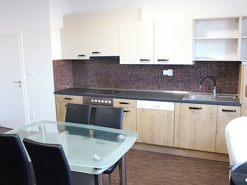 Pronájem bytu 2+kk 102 m², Pardubice – náhled fotky 3