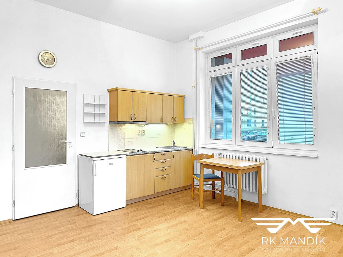 Pronájem bytu 1+kk 28 m² – fotografie 4