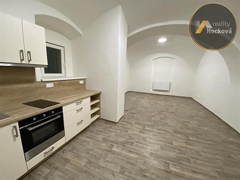 Pronájem bytu 1+kk 48 m²