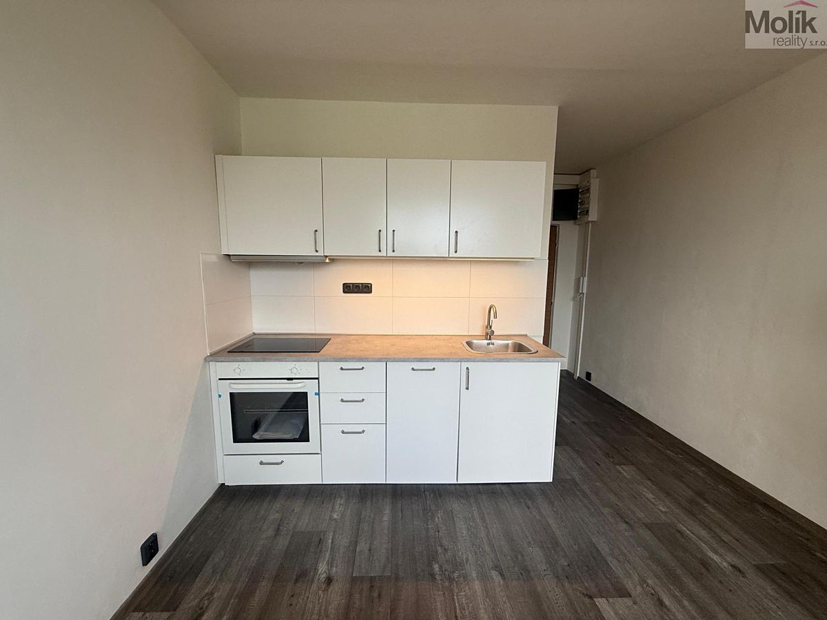 Pronájem bytu 1+1 35 m²