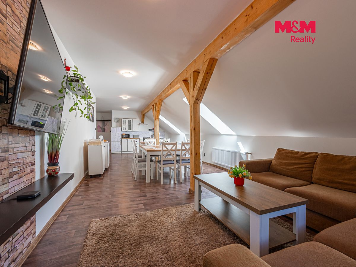Prodej rodinného domu 360 m², pozemek 1421 m² – fotografie 4