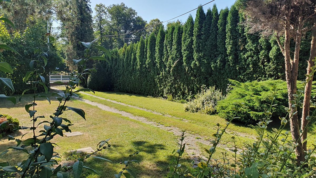 Prodej rodinného domu 430 m², pozemek 900 m² – fotografie 3