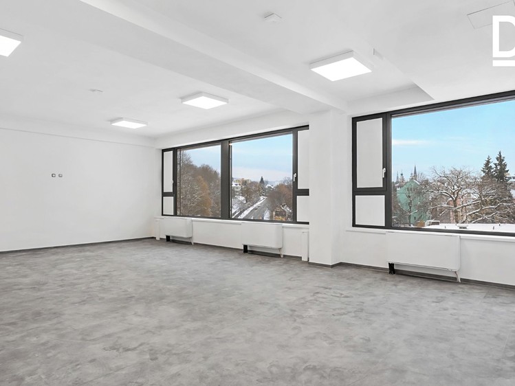 Pronájem komerčního prostoru, 268 m² (6 z 15)