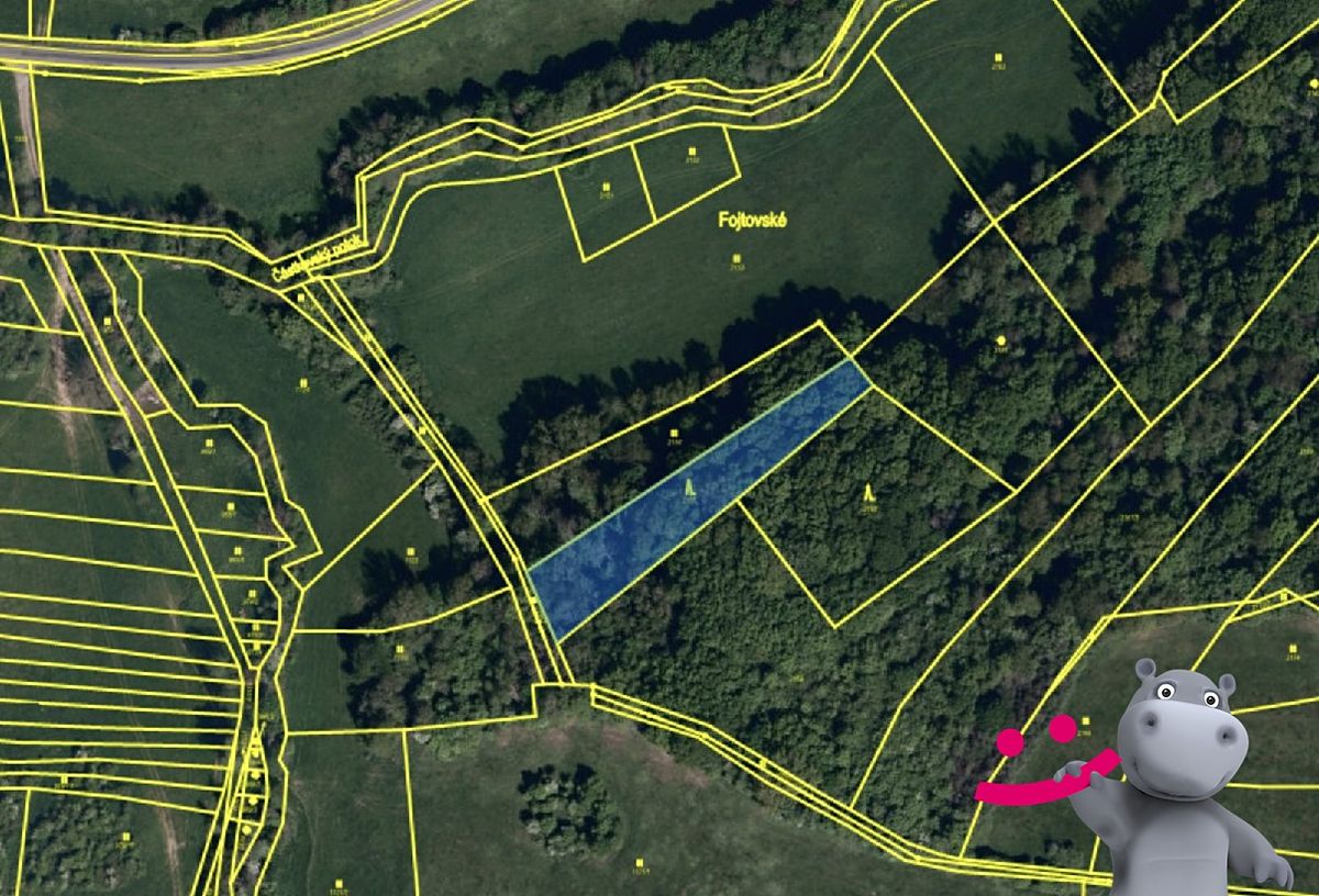 Prodej lesa 2128 m² – fotografie 2