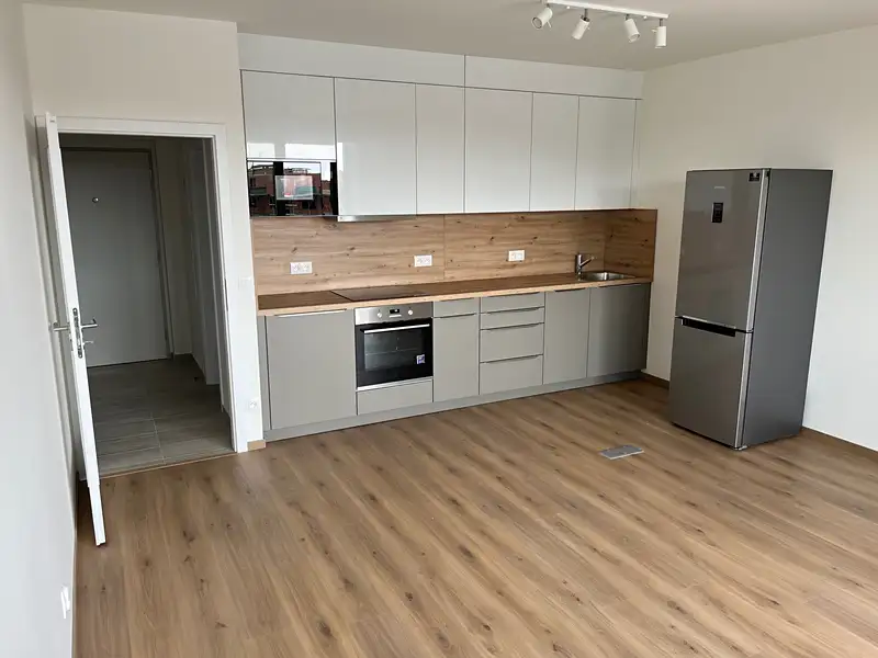 Pronájem bytu 2+kk 52 m², Praha – náhled fotky 1