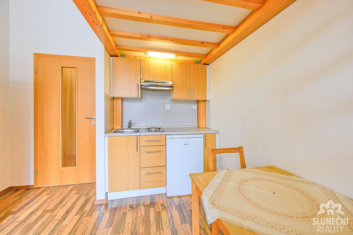 Pronájem bytu 1+kk 20 m² – fotografie 3