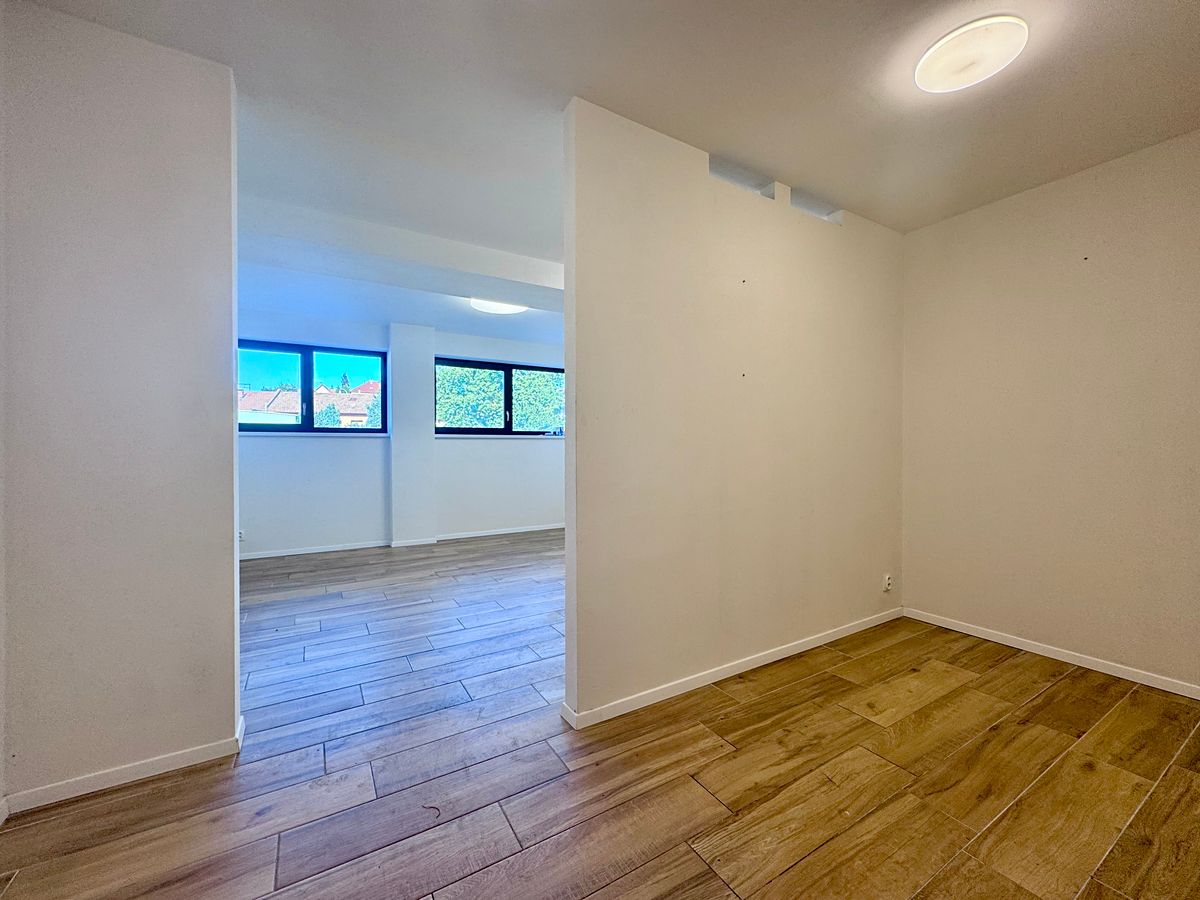 Pronájem bytu 1+kk 43 m² – fotografie 4