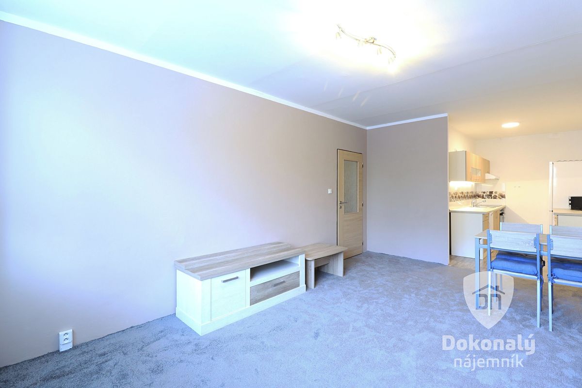 Pronájem bytu 3+kk 66 m² – fotografie 3