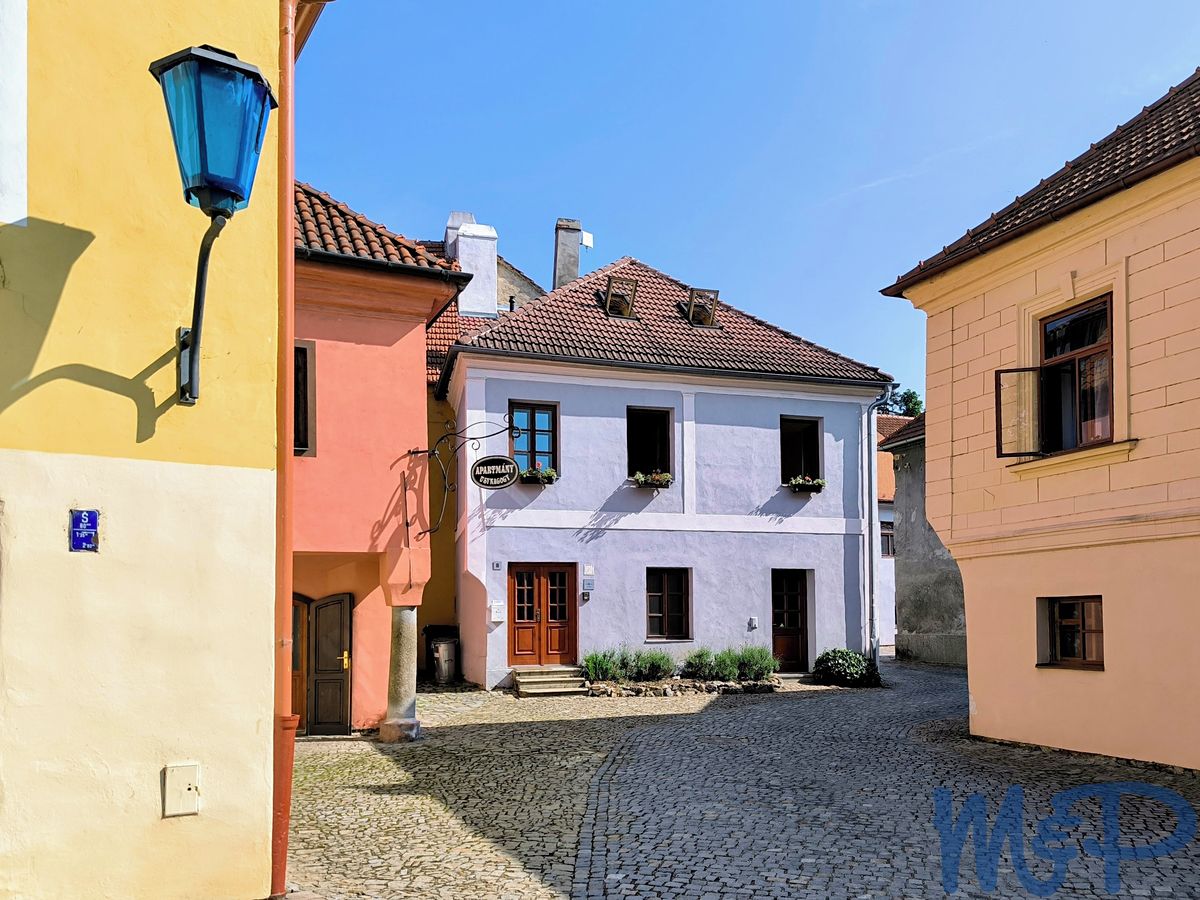 Prodej bytu atypický 251 m² – fotografie 5