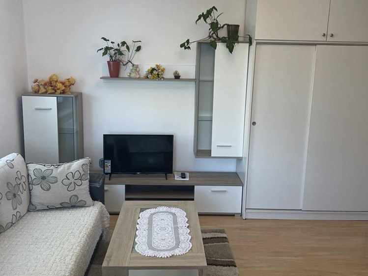 Wohnung 1+kk zur Miete, 35 m² (1 von 3)