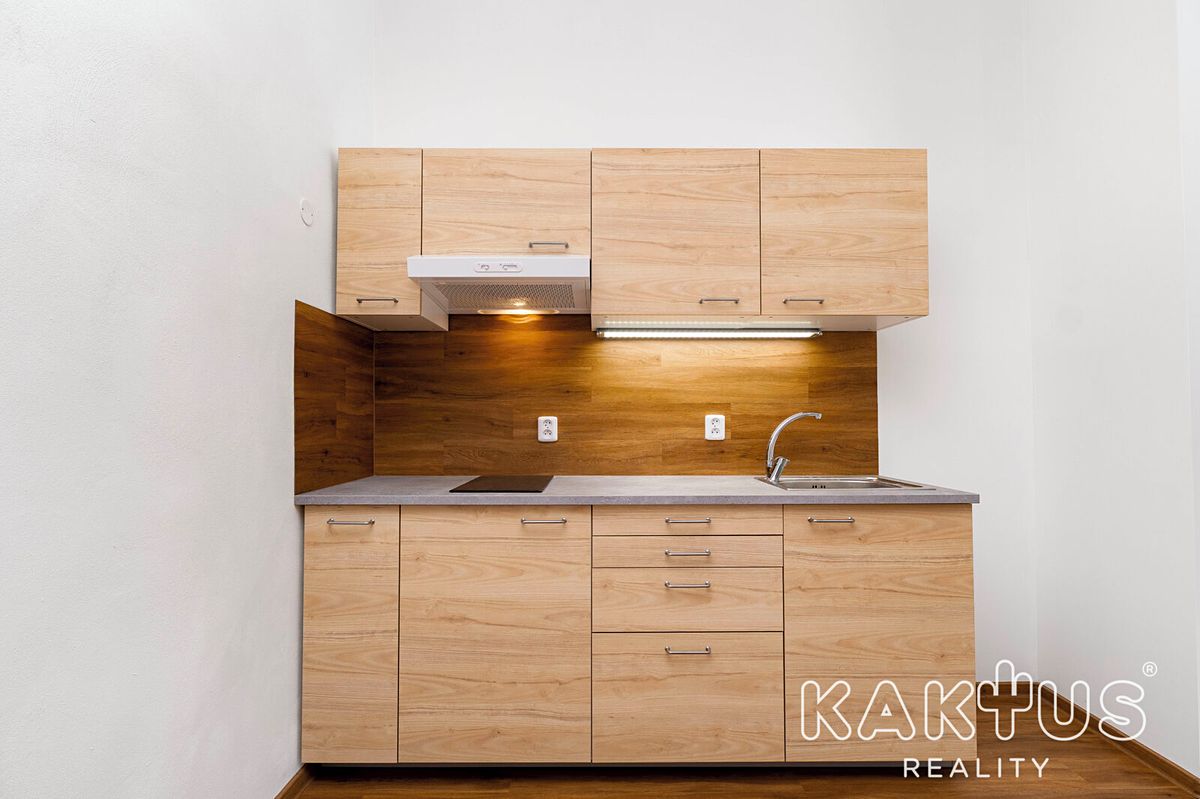 Pronájem bytu 1+kk 50 m² – fotografie 4