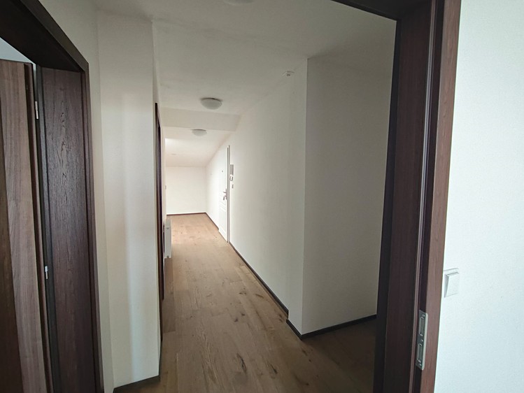 Wohnung 3+kk zur Miete, 83 m² (6 von 15)