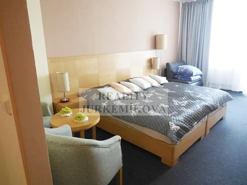 Pronájem bytu 1+kk 32 m², Frymburk – náhled fotky 1