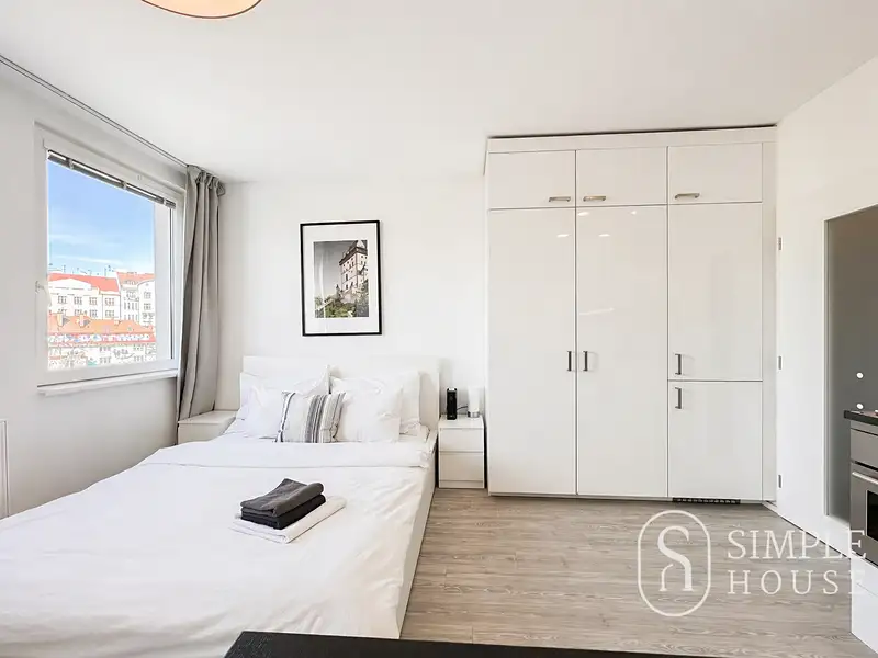 Pronájem bytu 1+kk 27 m², Praha – náhled fotky 3