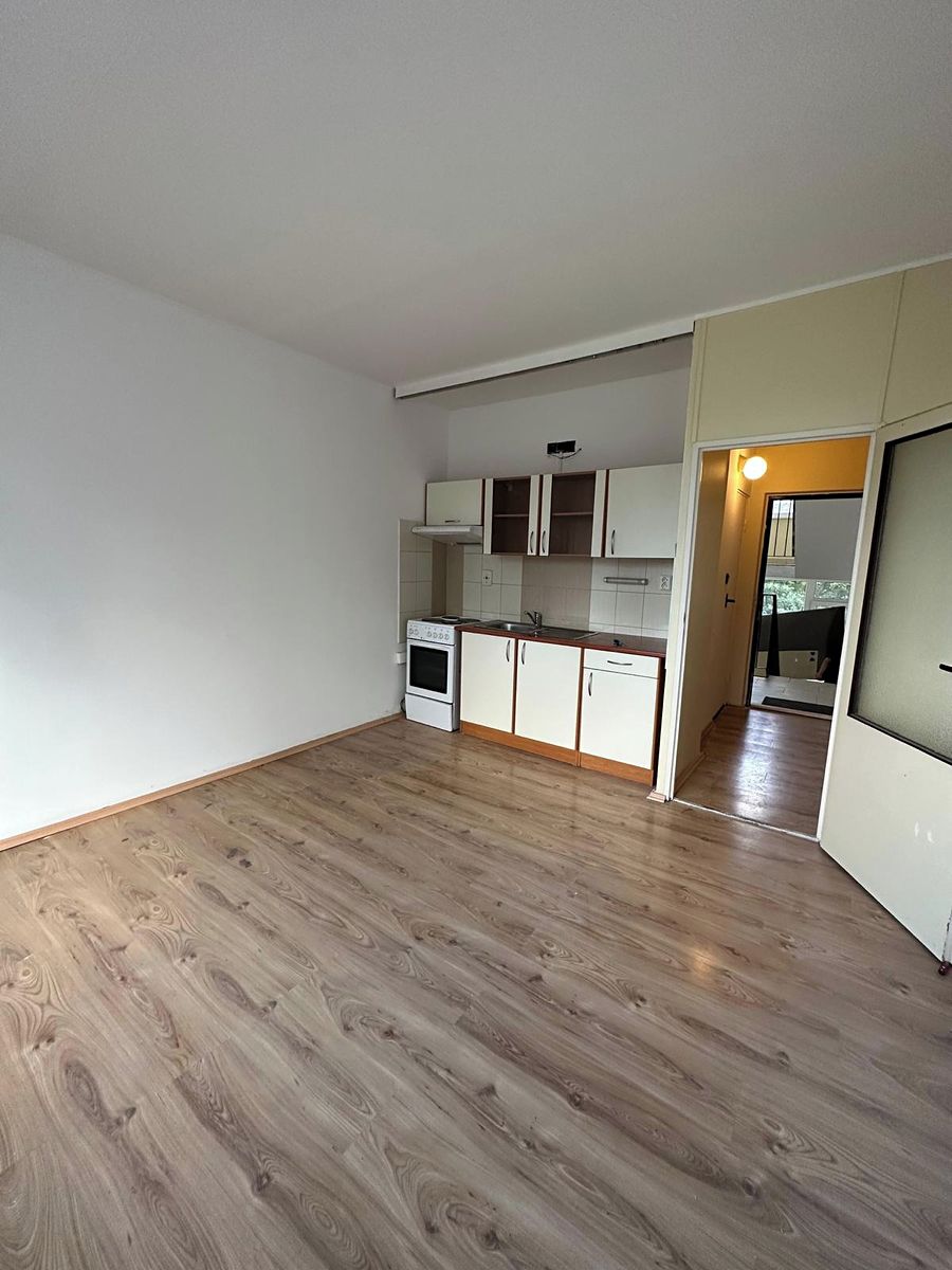 Pronájem bytu 1+kk 23 m² – fotografie 4