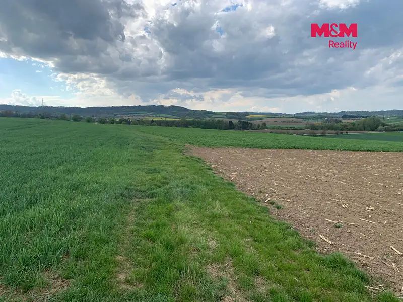 Prodej pole 9520 m², Voděrady – náhled fotky 3
