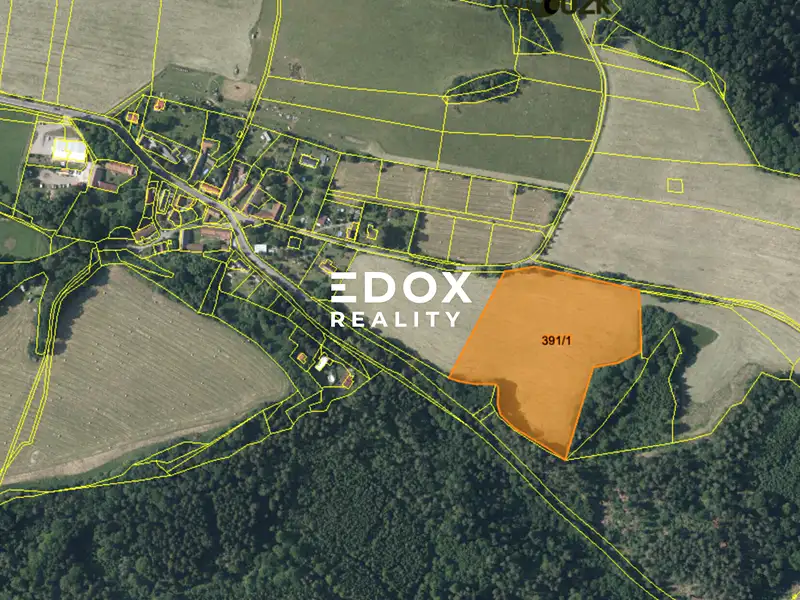 Prodej pole 25946 m², Sázava – náhled fotky 3
