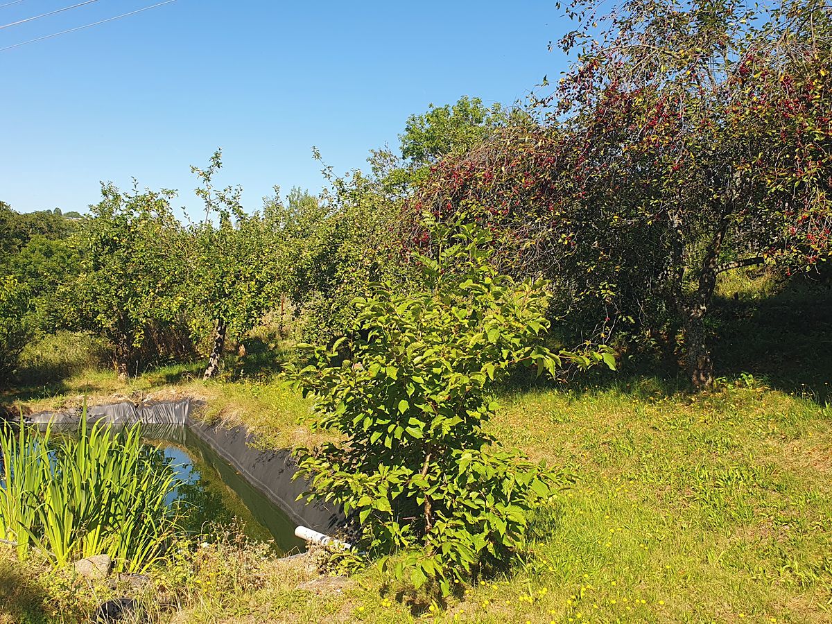 Prodej rodinného domu 131 m², pozemek 1716 m² – fotografie 4