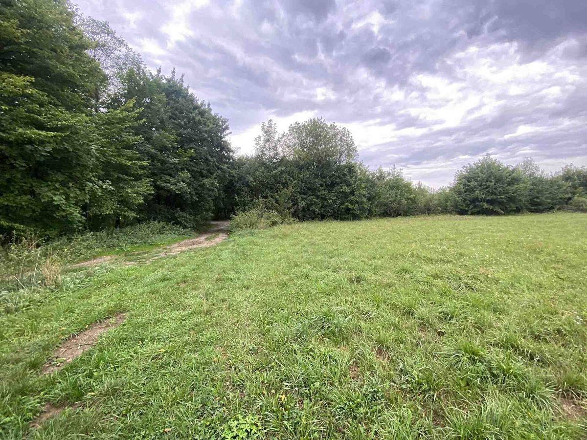 Prodej pole 950 m²