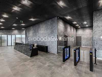 Pronájem komerčního prostoru, 447 m² (3 z 4)