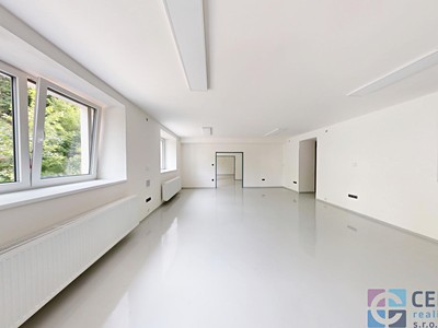 Pronájem kanceláře 350 m²
