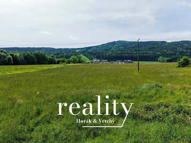 Prodej stavebního pozemku 3948 m², Červená Voda – náhled fotky 1