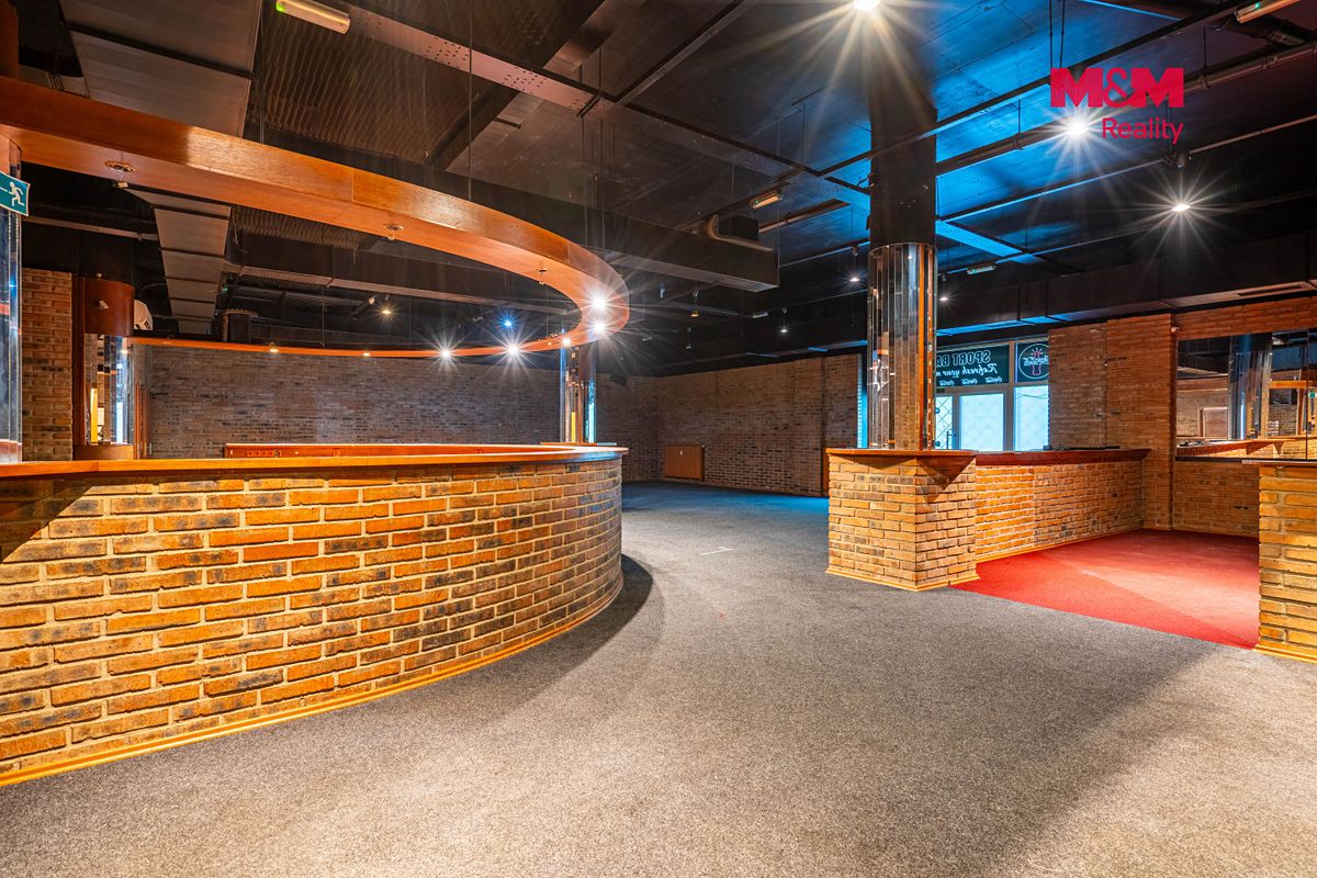 Prodej obchodního prostoru 324 m² – fotografie 4