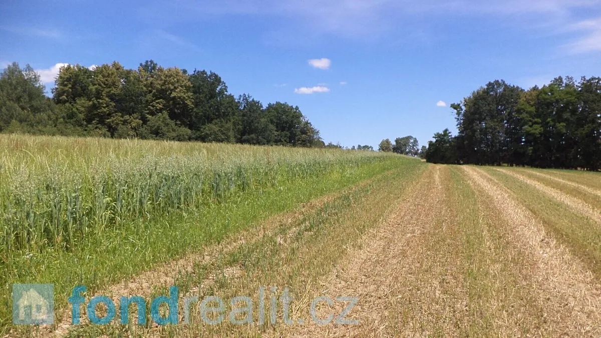 Prodej pole 18412 m²