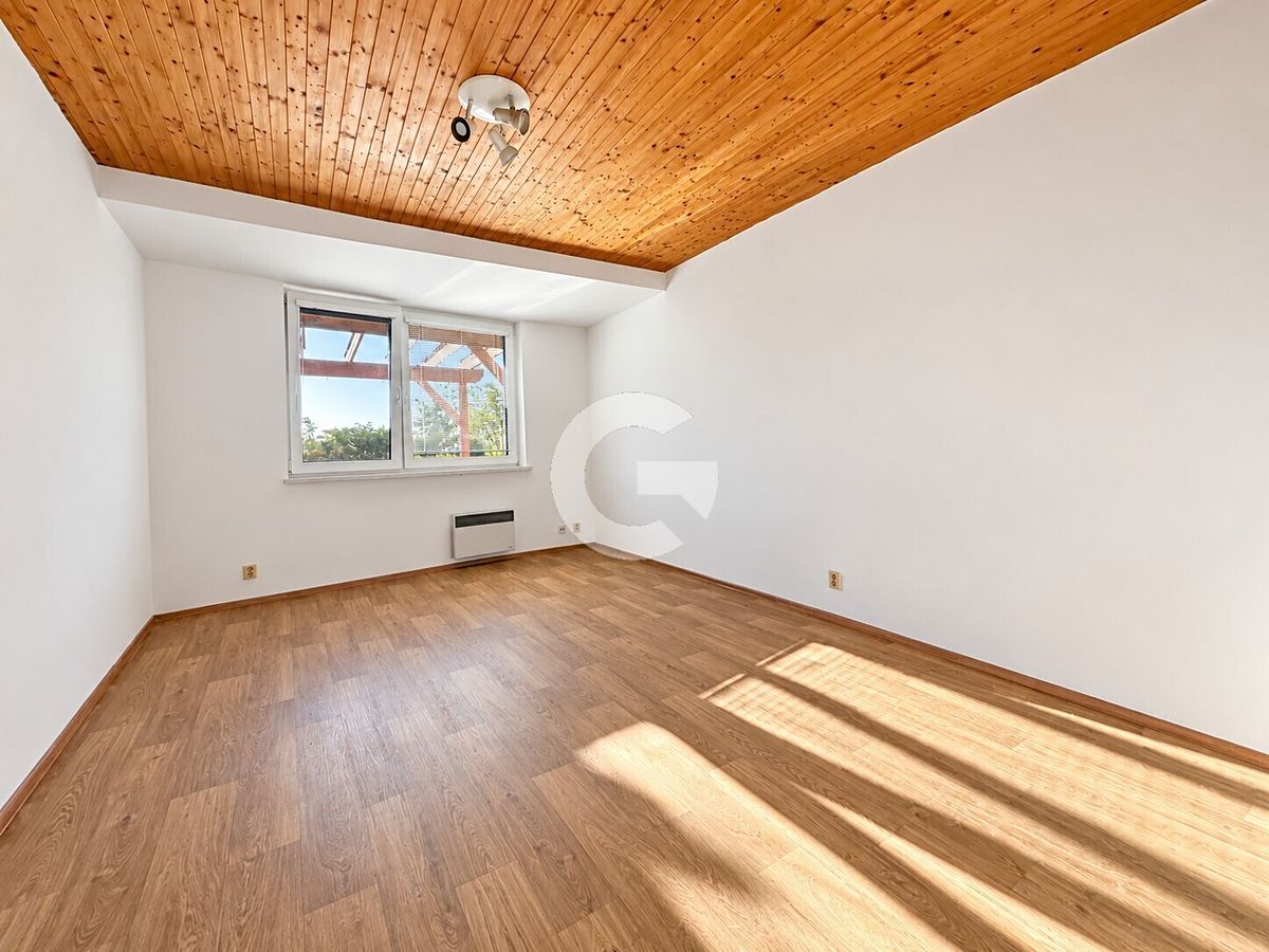 Pronájem bytu 2+1 57 m² – fotografie 4