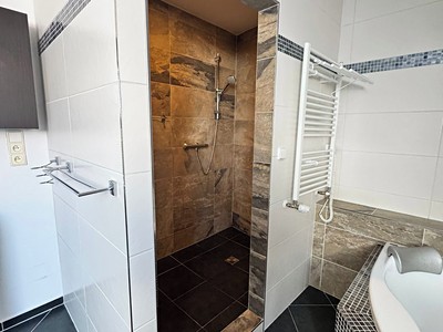 Prodej domu, 250 m² (3 z 20)