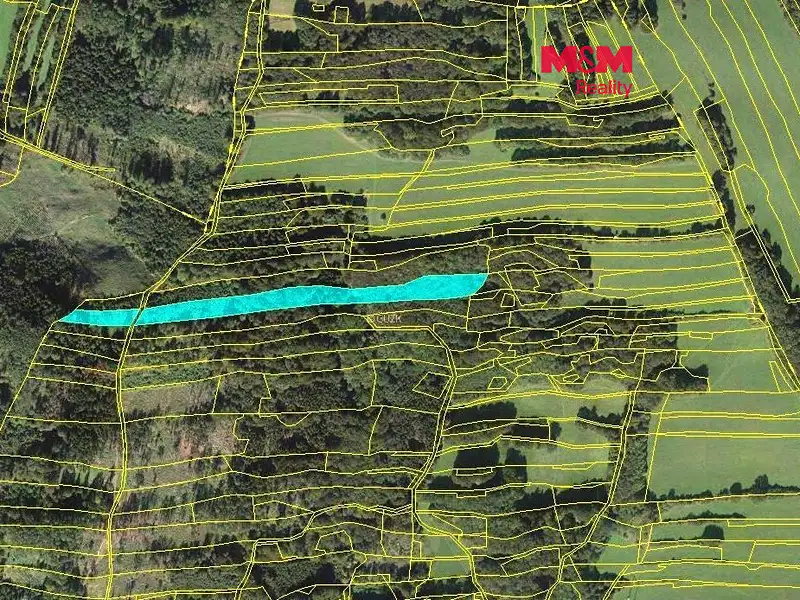 Prodej lesa 10970 m², Lešná – náhled fotky 1