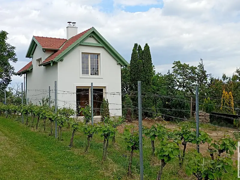 Prodej rodinného domu 56 m², pozemek 1833 m², Dolní Kounice – náhled fotky 1