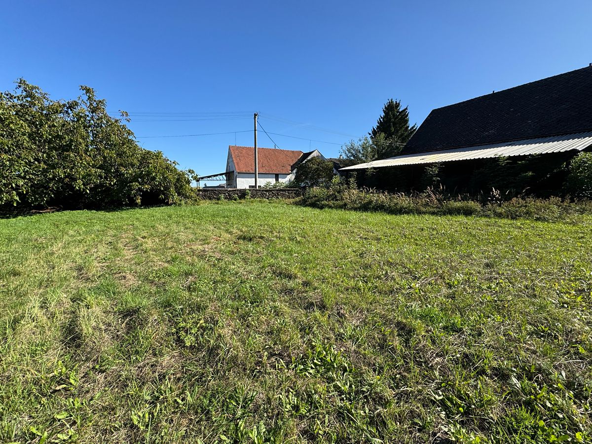 Prodej zemědělské usedlosti 2300 m², pozemek 4487 m² – fotografie 5