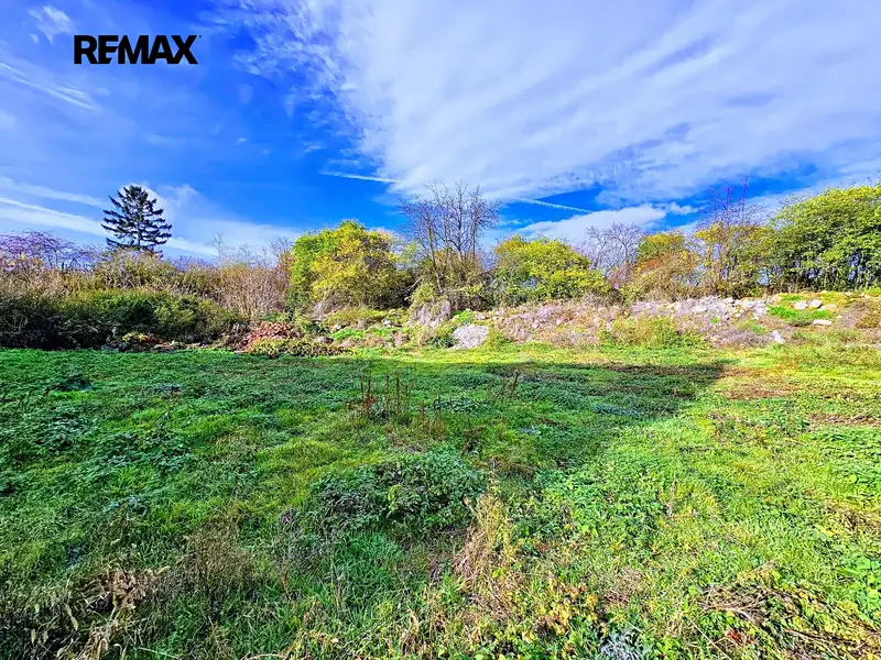 Prodej zemědělské usedlosti 450 m², pozemek 2886 m², Libořice – náhled fotky 2