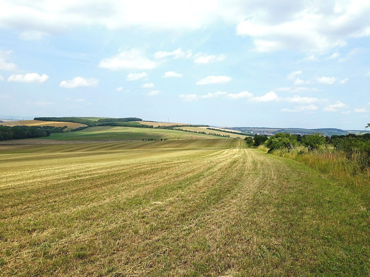 Prodej pole 6120 m² – fotografie 3