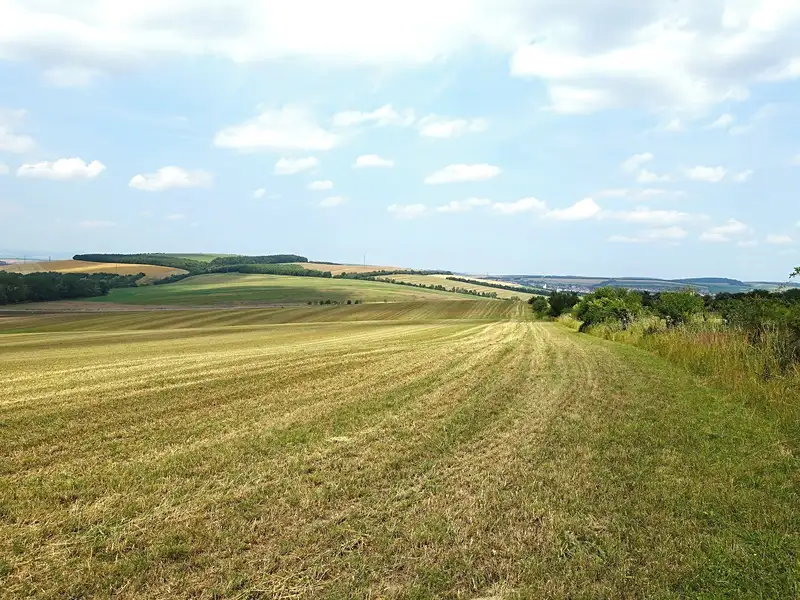 Prodej pole 6120 m², Slavkov – náhled fotky 3