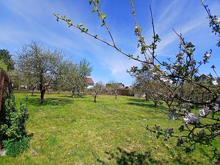 Haus zum Kauf, 168 m² (6 von 21)