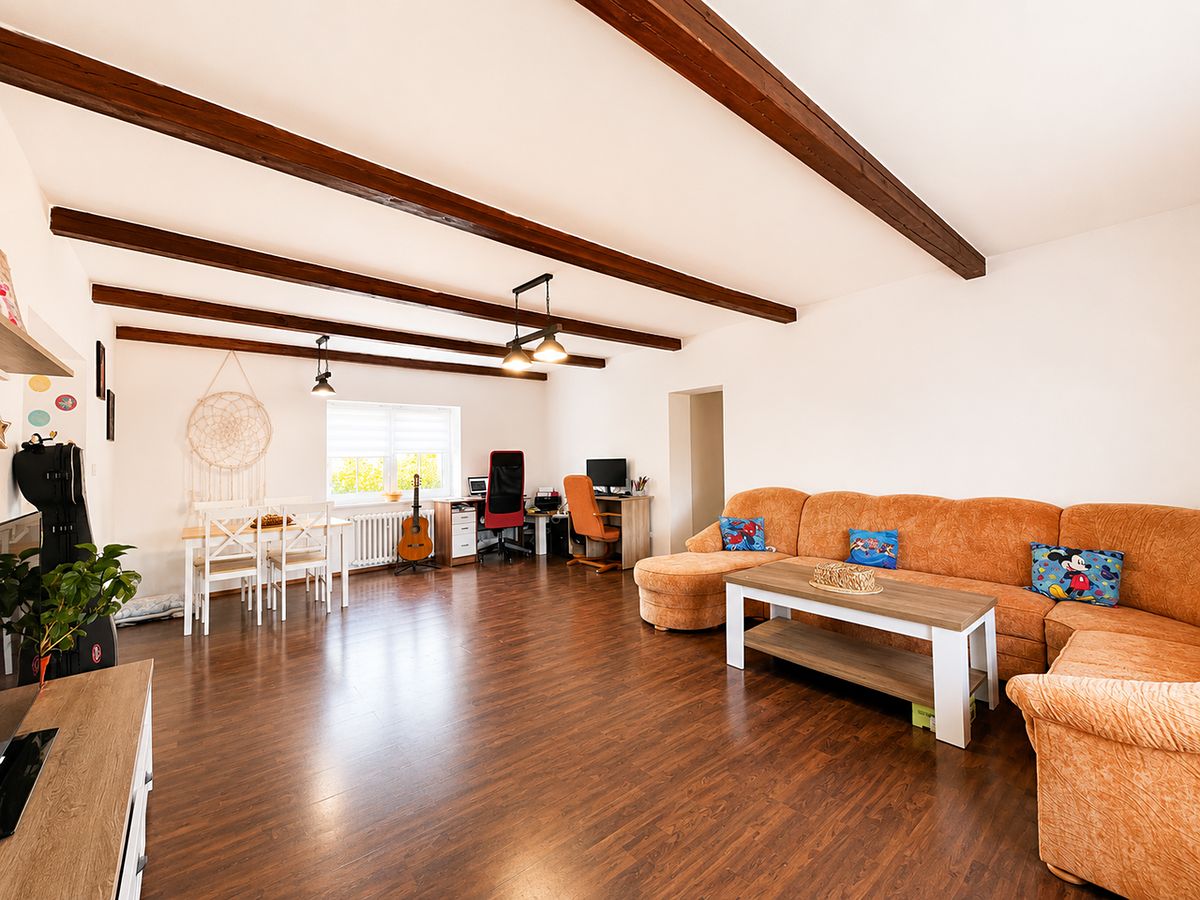 Prodej rodinného domu 280 m², pozemek 1288 m² – fotografie 4