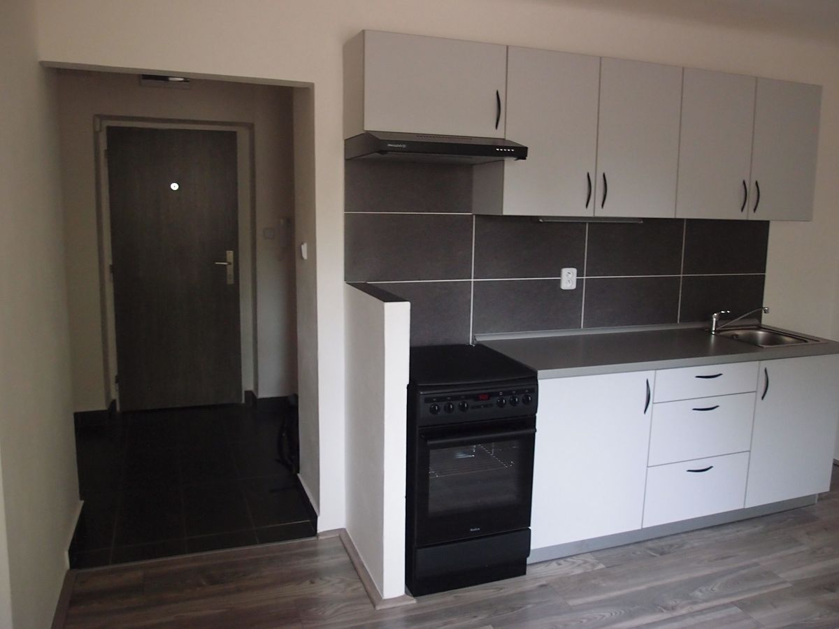 Pronájem bytu 2+1 50 m² – fotografie 3