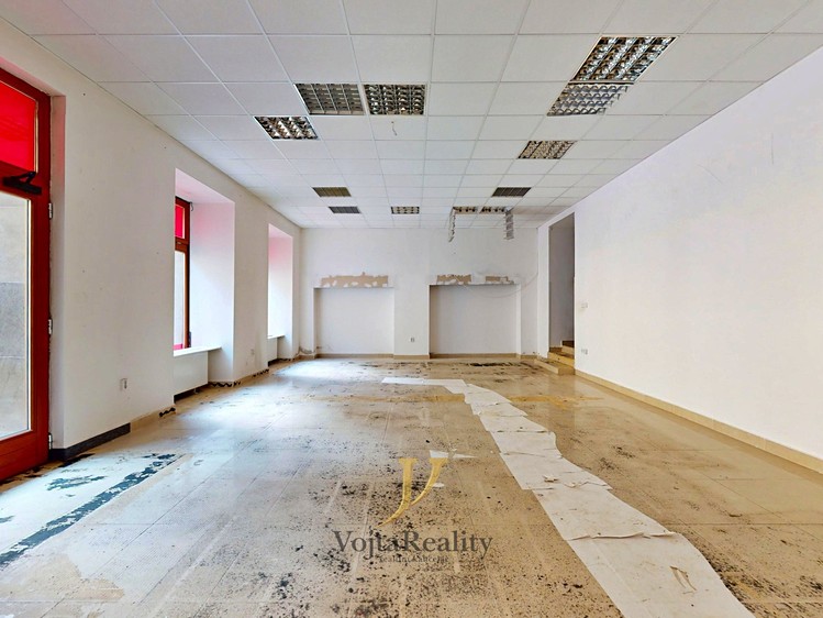 Gewerbefläche zur Miete, 215 m² (9 von 18)