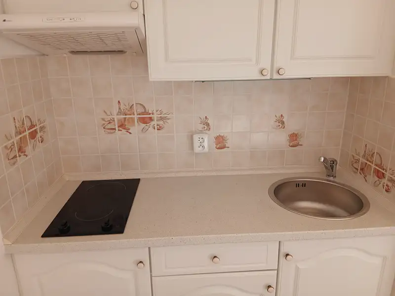 Prodej bytu 1+kk 29 m², Praha – náhled fotky 3