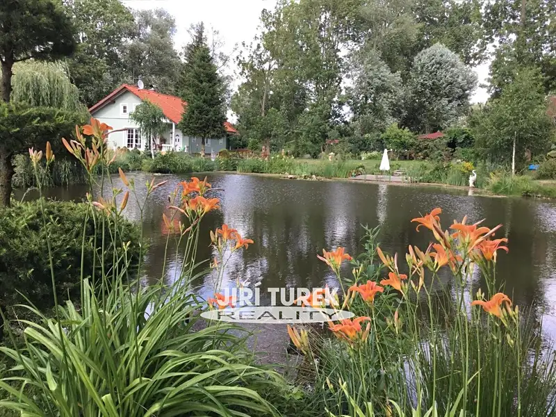 Prodej rodinného domu 100 m², pozemek 4001 m², Tochovice – náhled fotky 1