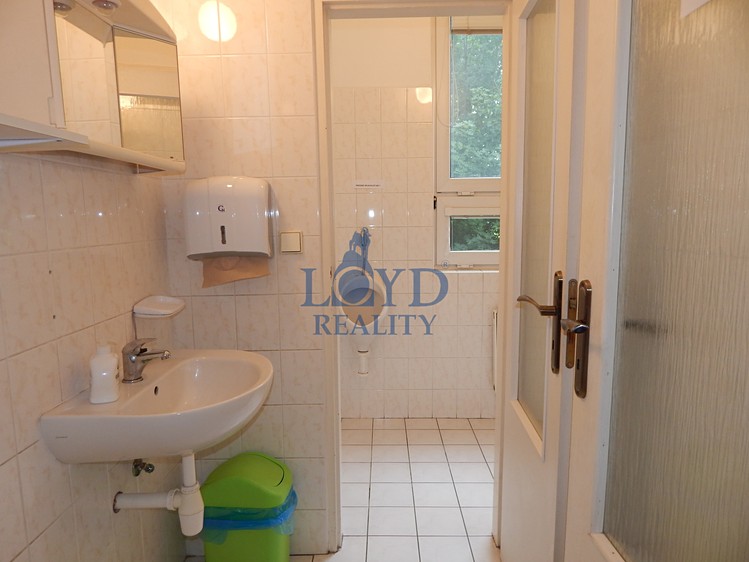 Pronájem komerčního prostoru, 274 m² (16 z 22)