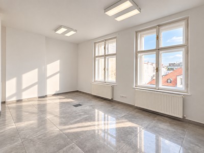 Pronájem komerčního prostoru, 30 m² (2 z 9)