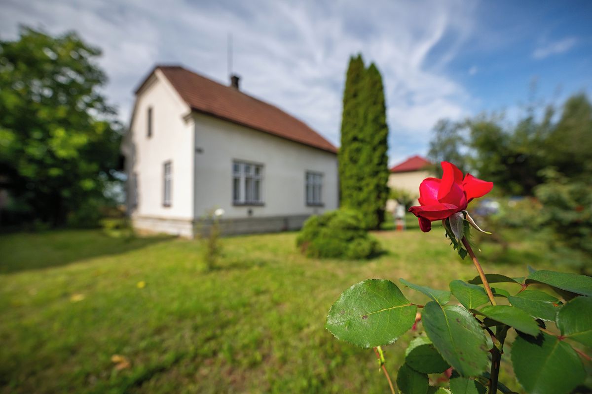 Prodej rodinného domu 137 m², pozemek 679 m² – fotografie 2