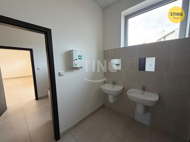 Gewerbefläche zur Miete, 350 m² (16 von 22)