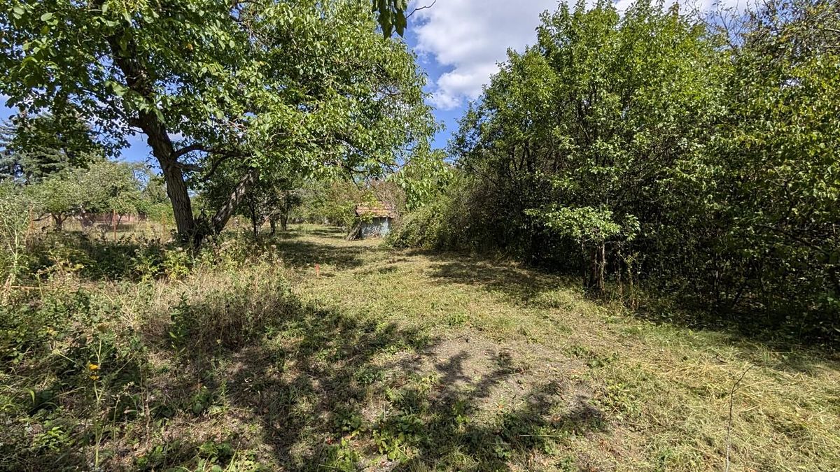Prodej zahrady 463 m² – fotografie 2